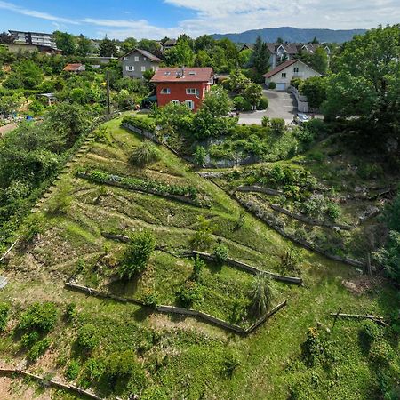 Apartment With Garden & Terrasse Very Quiet Thonon-les-Bains Eksteriør bilde